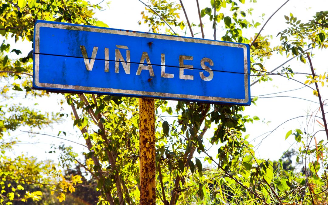 7 Things to do in Vinales