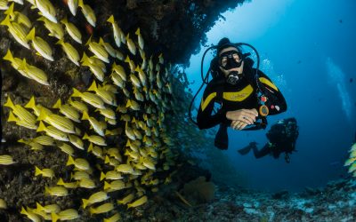 How to Prepare for your International Diving Holiday