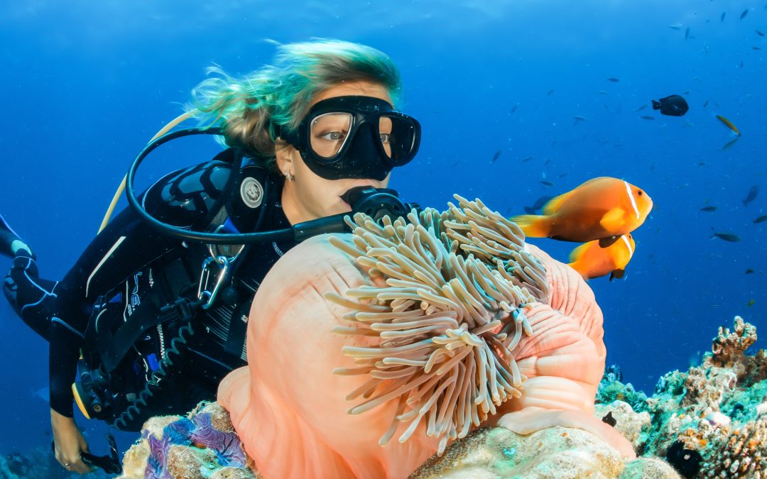 Why Diving Cuba is a Must