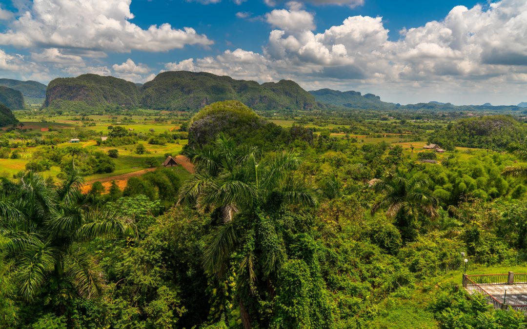 How to best capture Vinales through your lens?