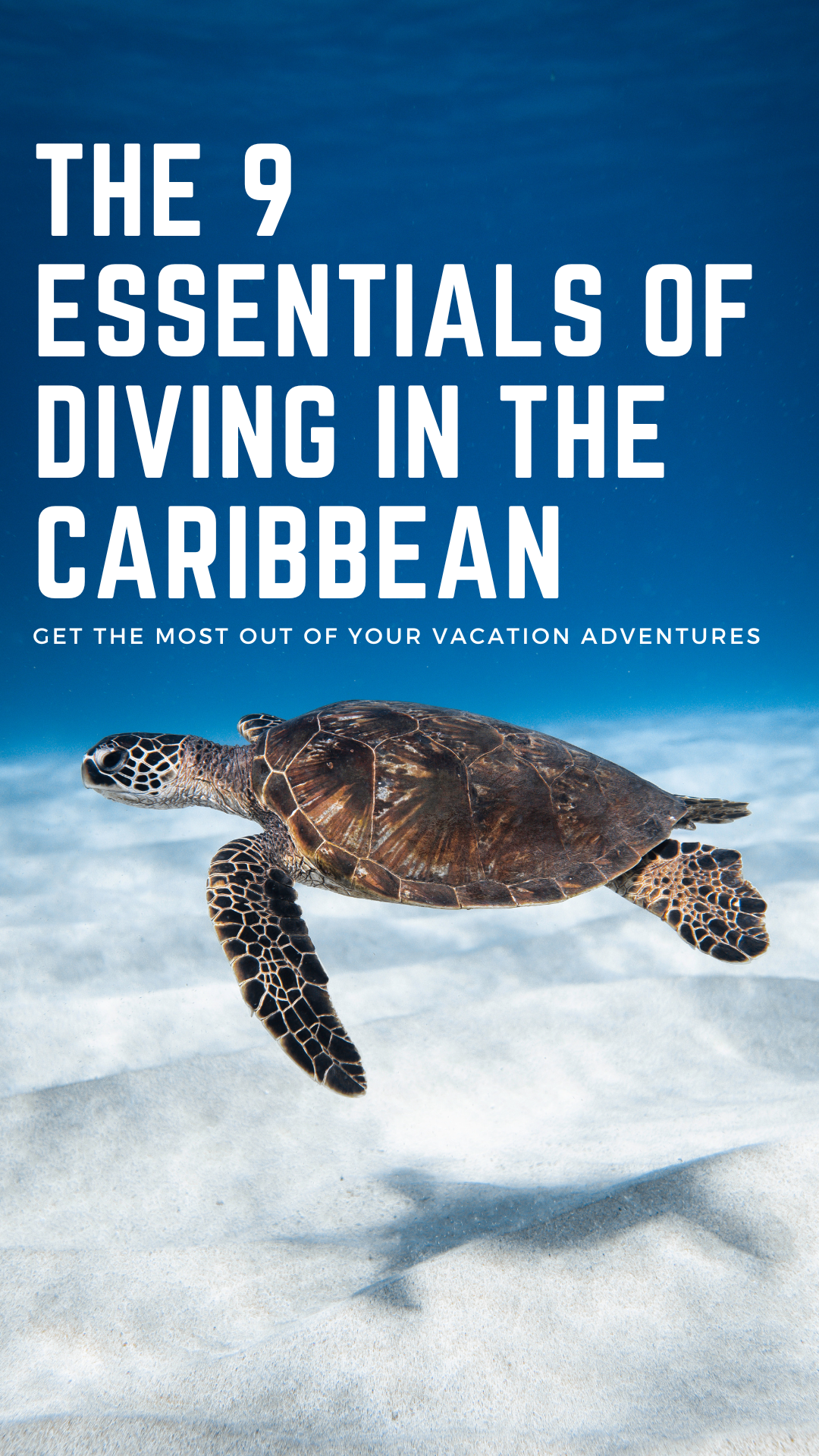 Caribbean diving guide
