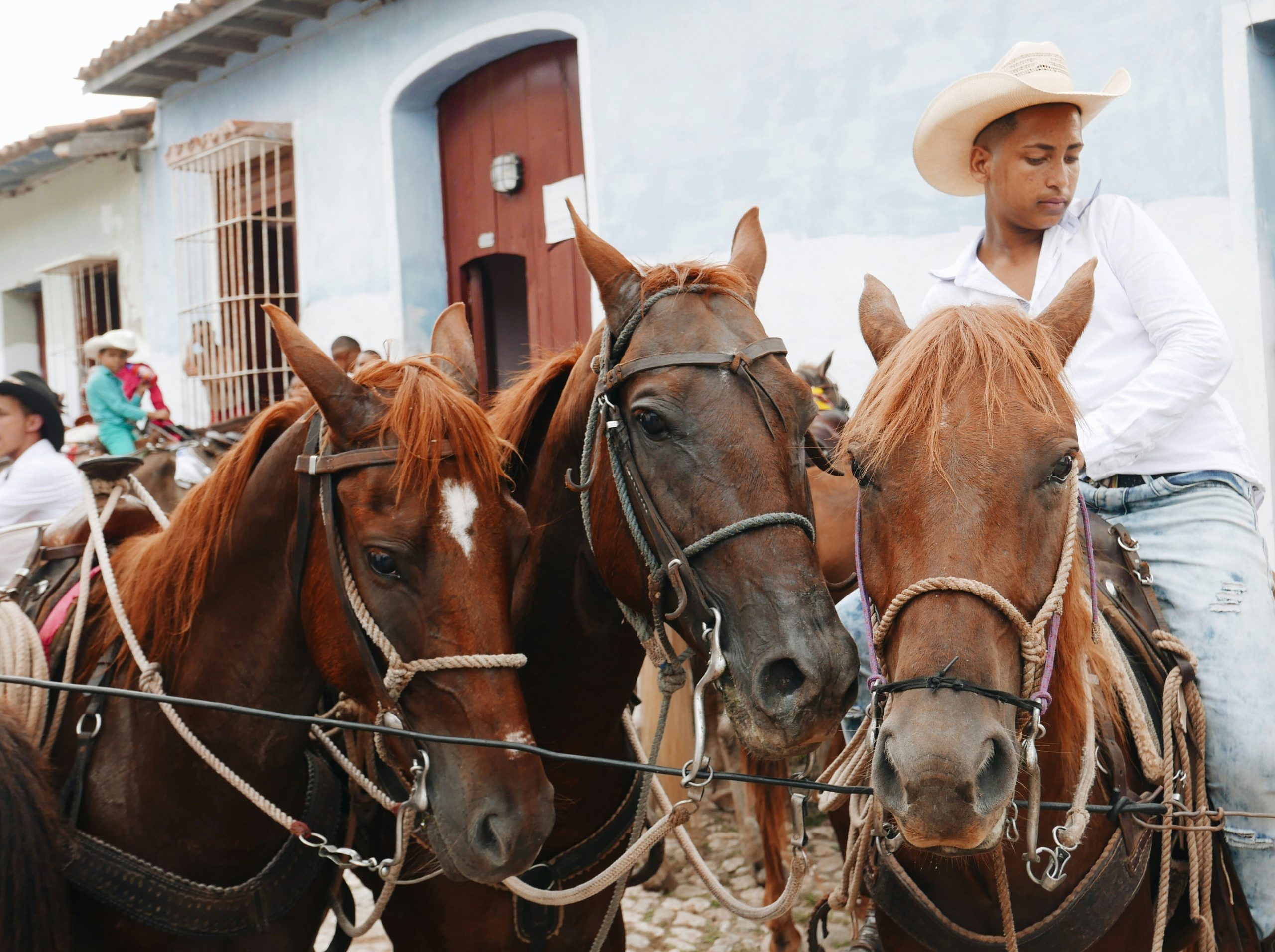 Cuban Horseman