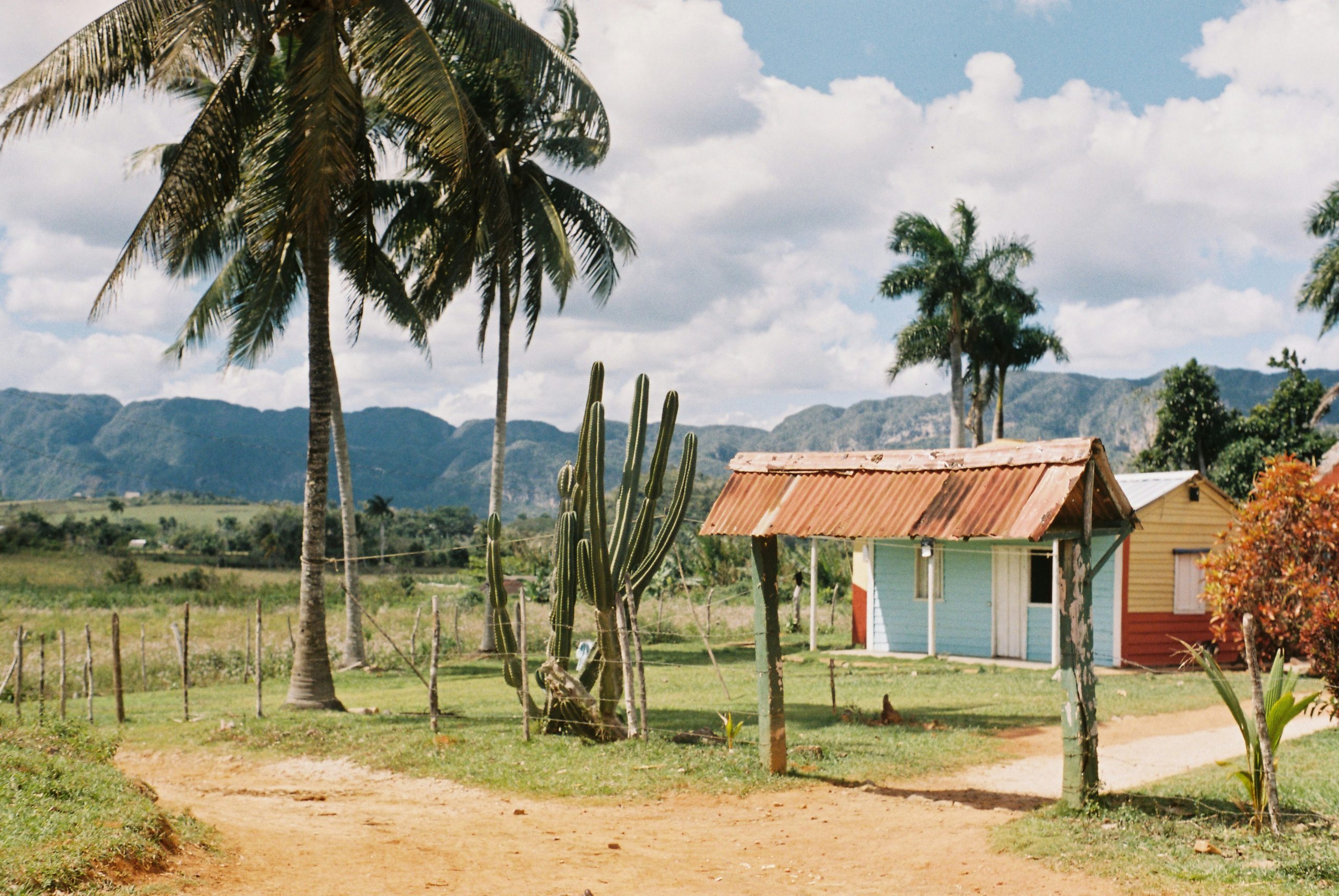 Vinales