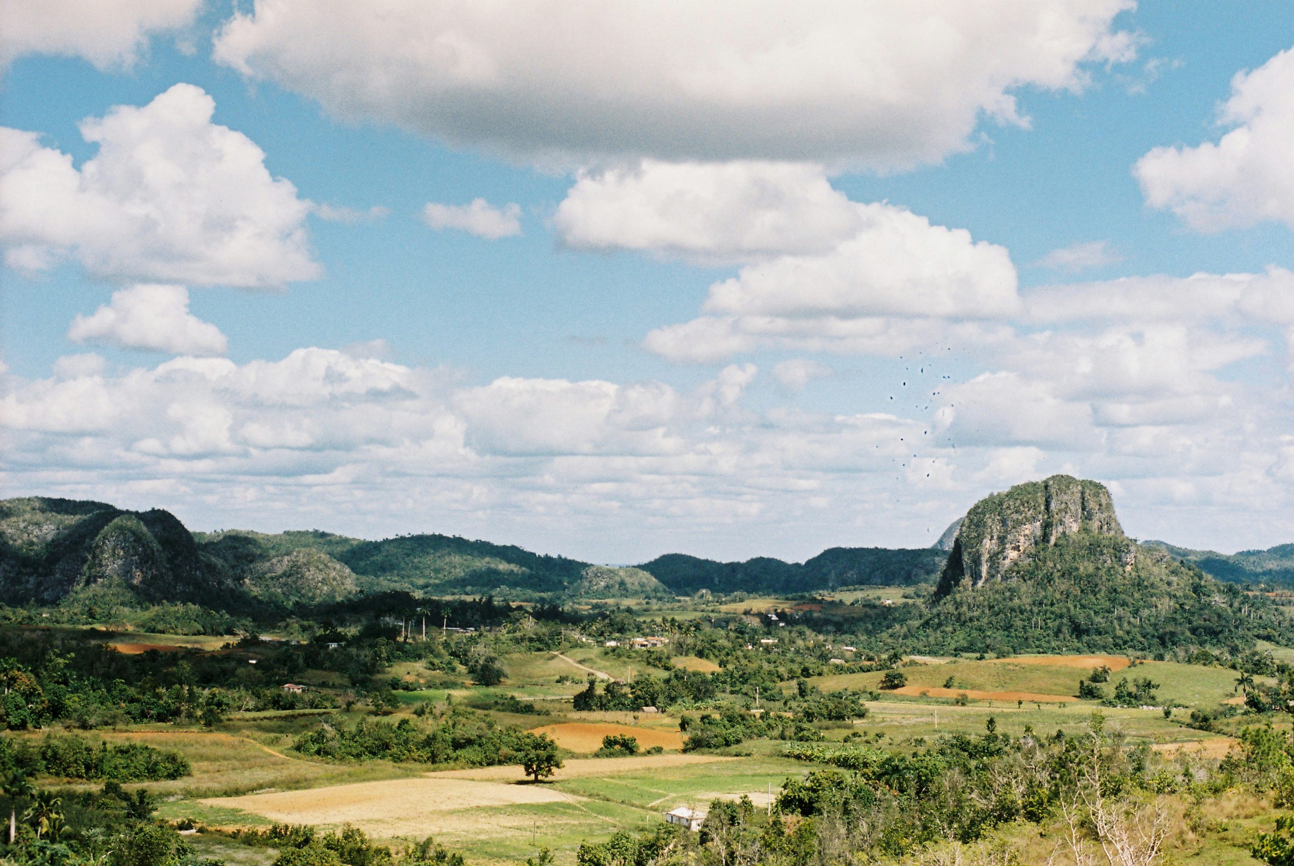 Vinales